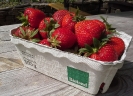 Erdbeeren (1)